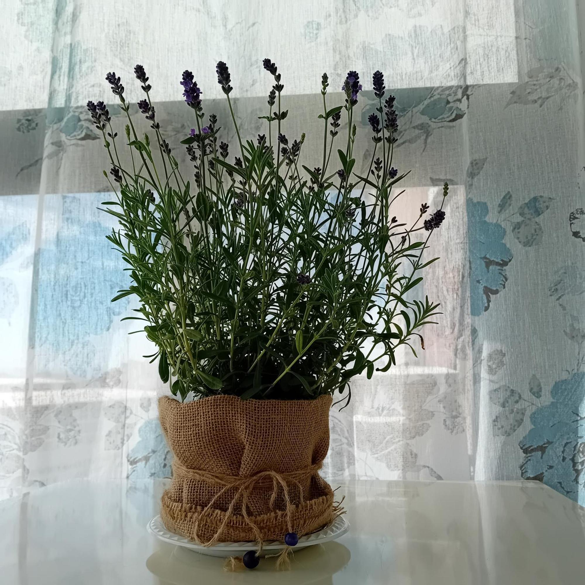 Apartament Casa Irene Katania Zewnętrze zdjęcie